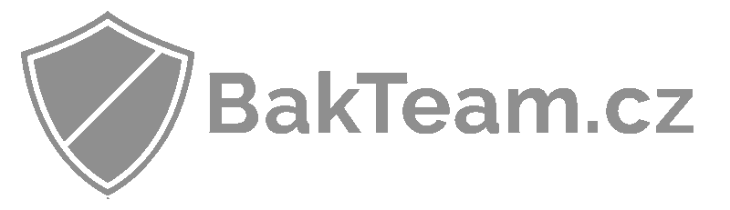 Bakteam logo