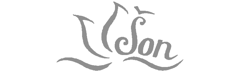 Sen logo